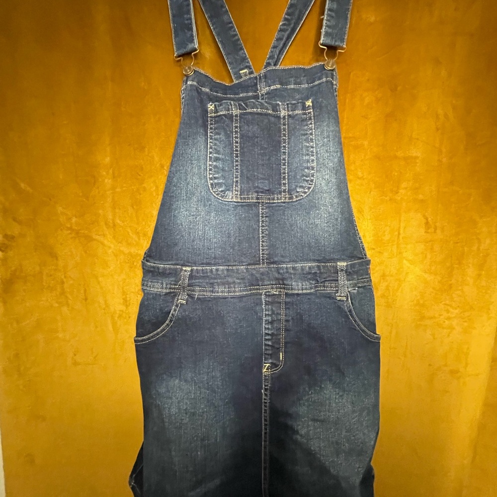 Wallflower Blue Denim Overalls